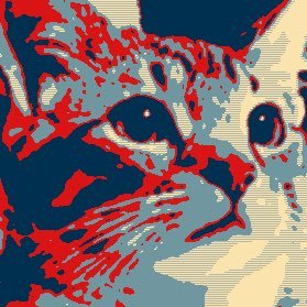 A picture of the tabby cat, Bonny Baloney, in the style of Shepard Fairey's 'HOPE' portrait of President Obama.