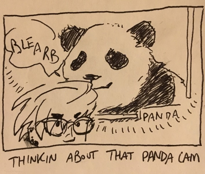 thinkin about that panda cam. i'm frowning as i imagine the panda saying something useless like “blearb.”