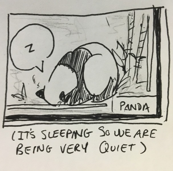 (it's sleeping so we are being very quiet.) the panda dozes away in peace