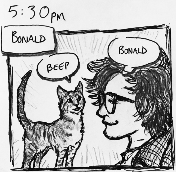 bonald. bonald (the cat) beeps at me. “bonald,” i think, smiling